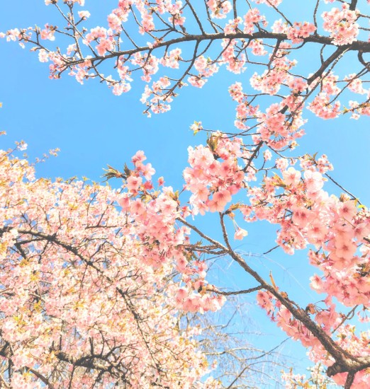 ホテルサンバレー那須