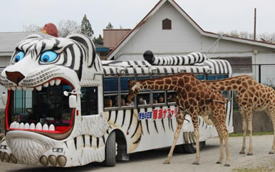 Nasu Safari Park