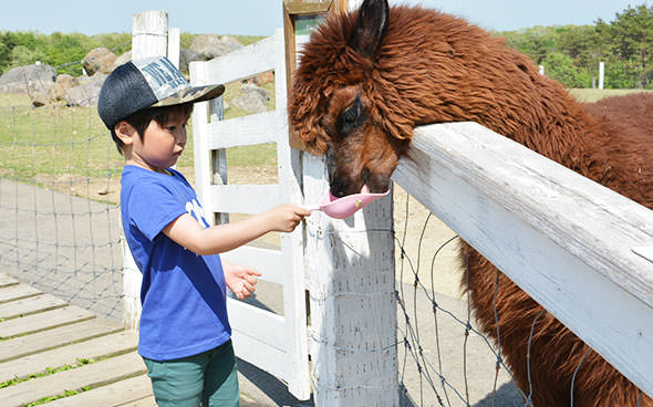 Nasu Animal Kingdom