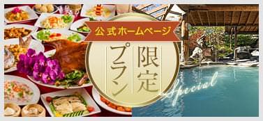 公式ホームページ　限定プラン