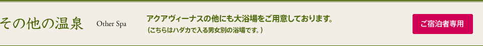 その他の温泉